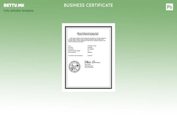 Модерен стил САД Минесота сертификат за постоење и регистрација Шаблон за шаблон